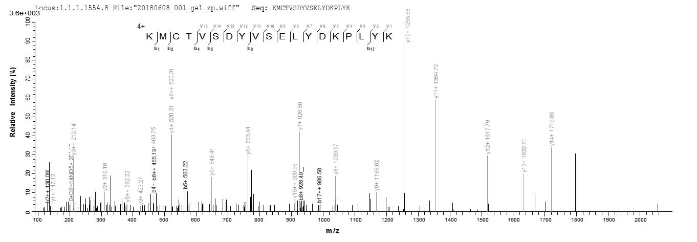 LC-MS Analysis 1- Recombinant protein Truncated PS/HR