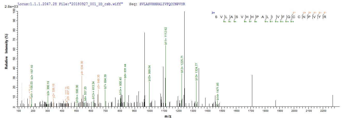 Based on the SEQUEST from database of Baculovirus host and target protein, the LC-MS/MS Analysis result of CSB-BP365892HIL could indicate that this peptide derived from Baculovirus-expressed Human adenovirus C serotype 5 (HAdV-5) (Human adenovirus 5) DBP. Based on the SEQUEST from database of Baculovirus host and target protein, the LC-MS/MS Analysis result of CSB-BP365892HIL could indicate that this peptide derived from Baculovirus-expressed Human adenovirus C serotype 5 (HAdV-5) (Human adenovirus 5) DBP.