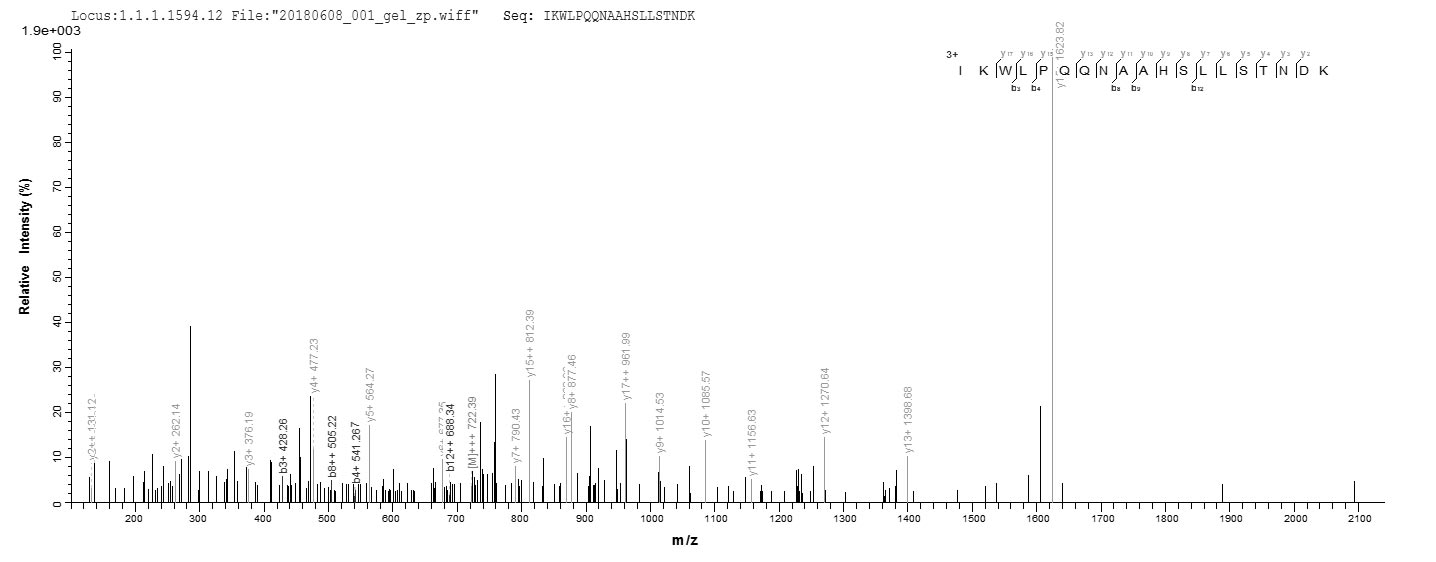 LC-MS Analysis 2- Recombinant protein Human PPP2R2C