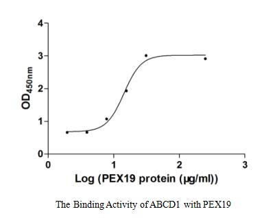 CSB-CF001068HU Activity mesurement