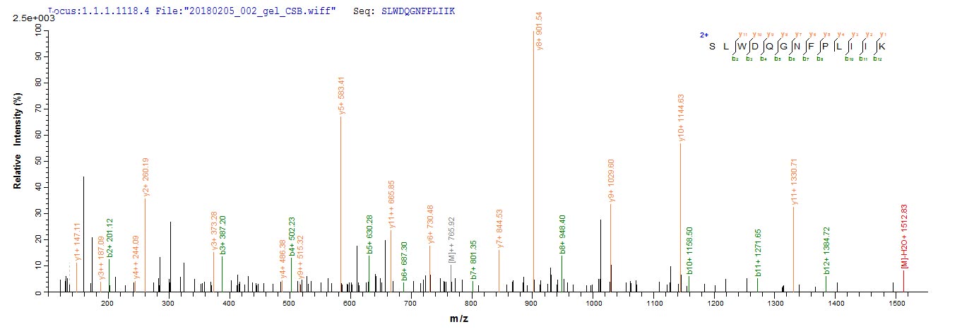 LC-MS Analysis 1- Recombinant protein Human CD4