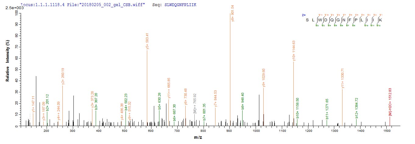 CSB-CF004935HU1
