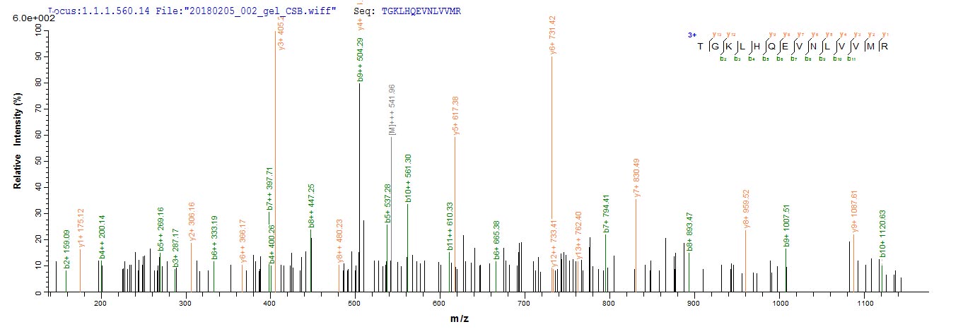LC-MS Analysis 2- Recombinant protein Human CD4