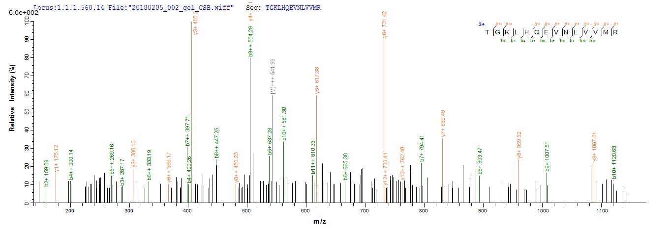 CSB-CF004935HU1