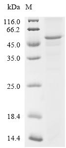 CSB-CF692548HU