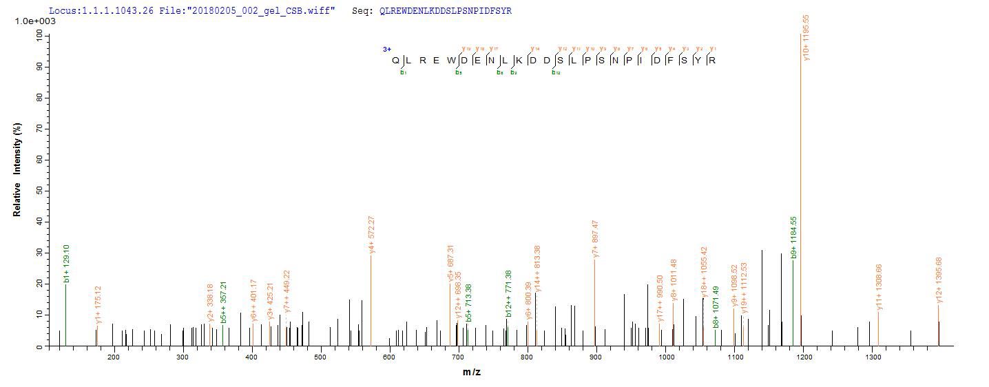 LC-MS Analysis 1- Recombinant protein Human CRBN