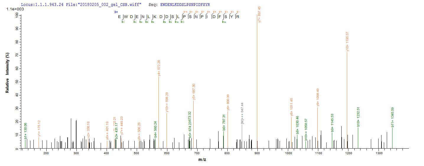 LC-MS Analysis 2- Recombinant protein Human CRBN