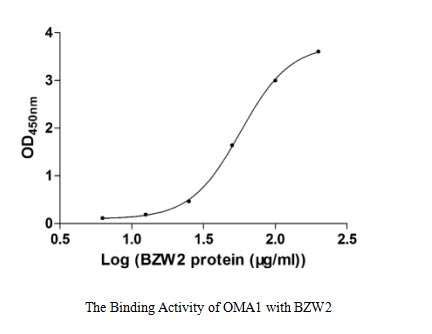 binding activity- Recombinant protein Human OMA1