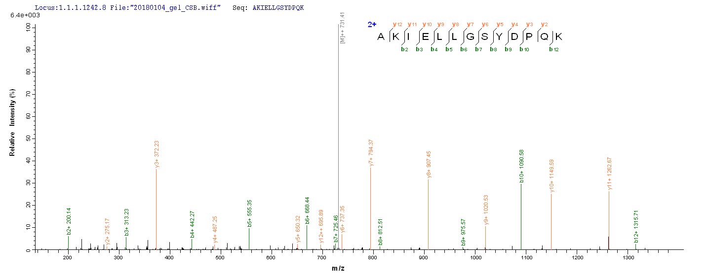 LC-MS Analysis 1- Recombinant protein Human ACP1