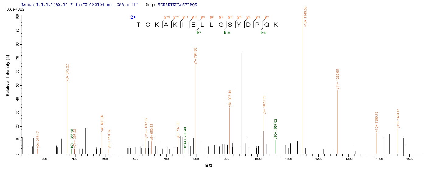 LC-MS Analysis 2- Recombinant protein Human ACP1