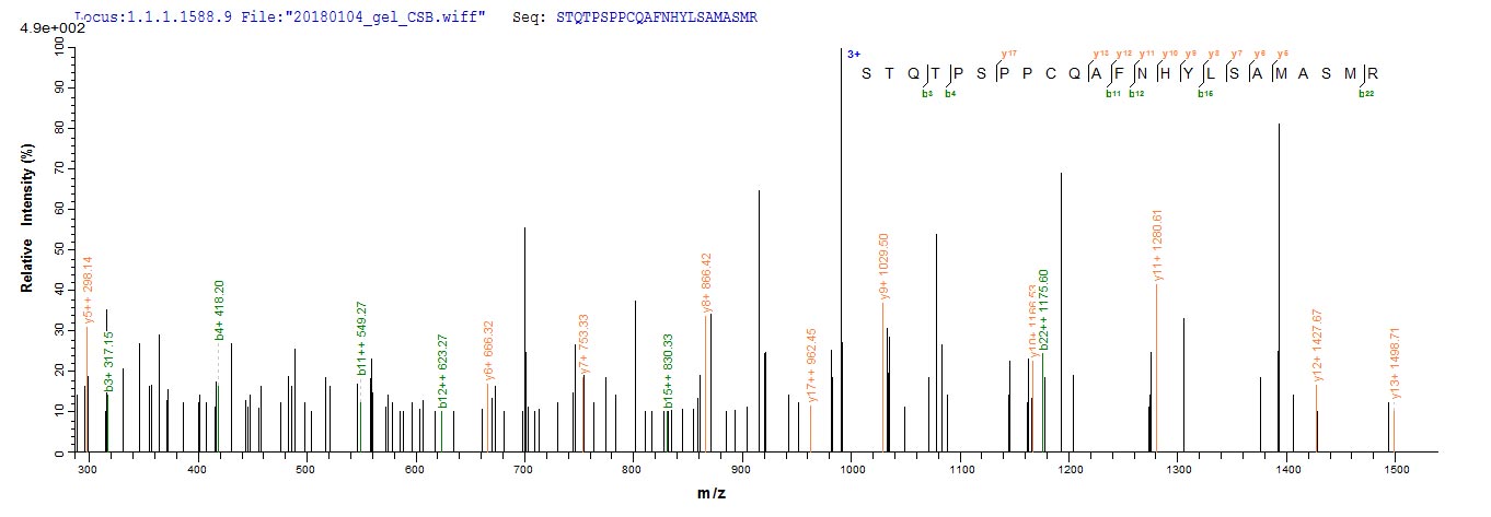 LC-MS Analysis 1- Recombinant protein Human BCL2L11