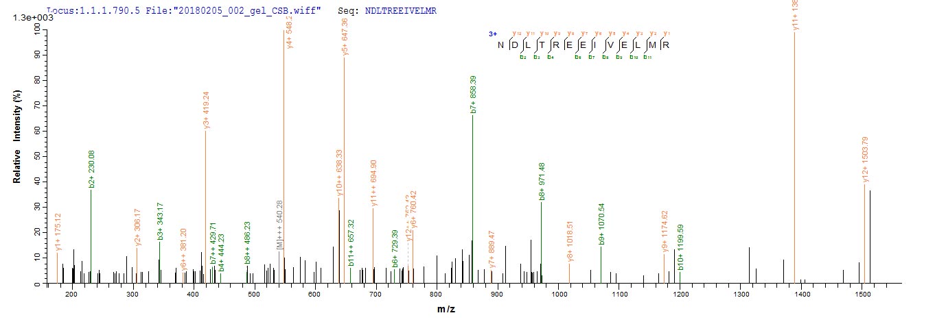 LC-MS Analysis 1- Recombinant protein Human CASP3