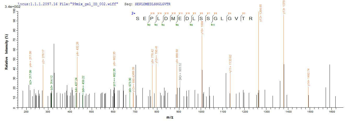 CSB-EP004956MO LCMS-1