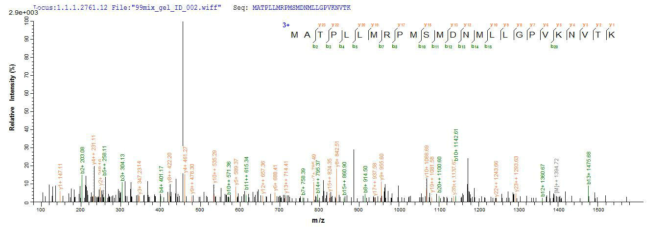 CSB-EP004956MO LCMS-2