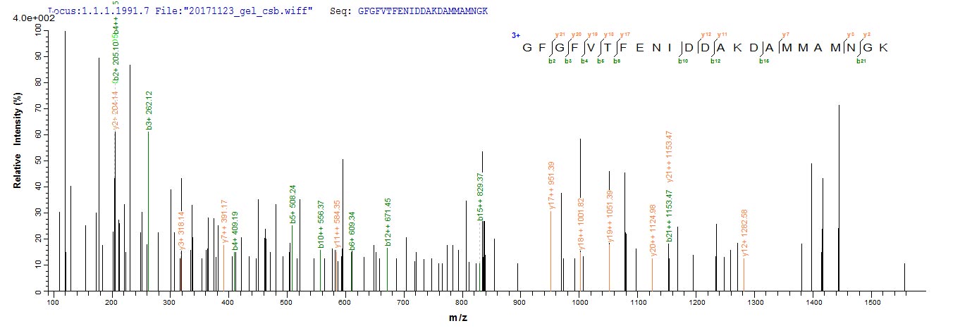 LC-MS Analysis 2- Recombinant protein Mouse Cirbp