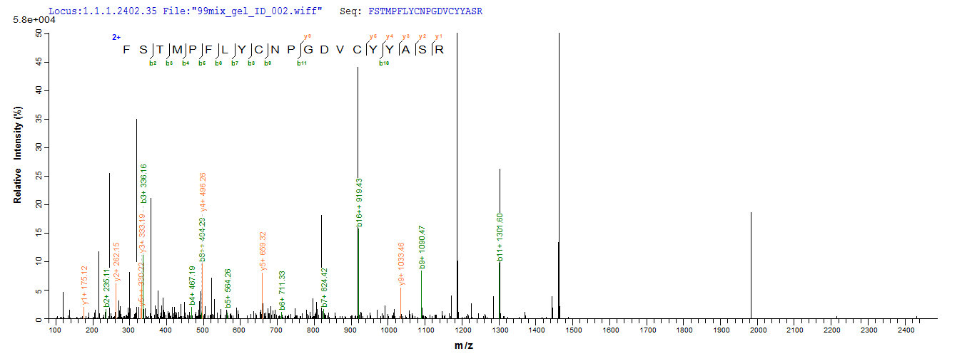 LC-MS Analysis 1 - Recombinant Mouse Col4a2