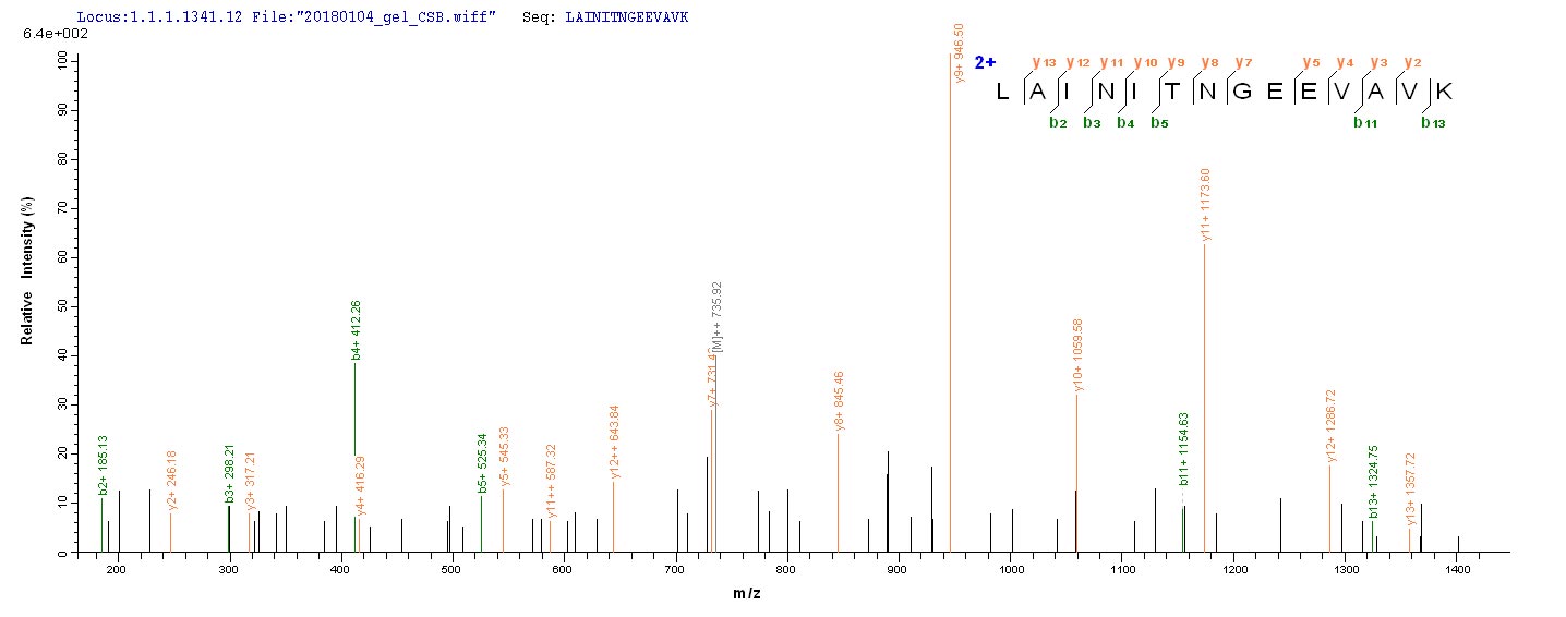 LC-MS Analysis 1- Recombinant protein Human CSNK1A1