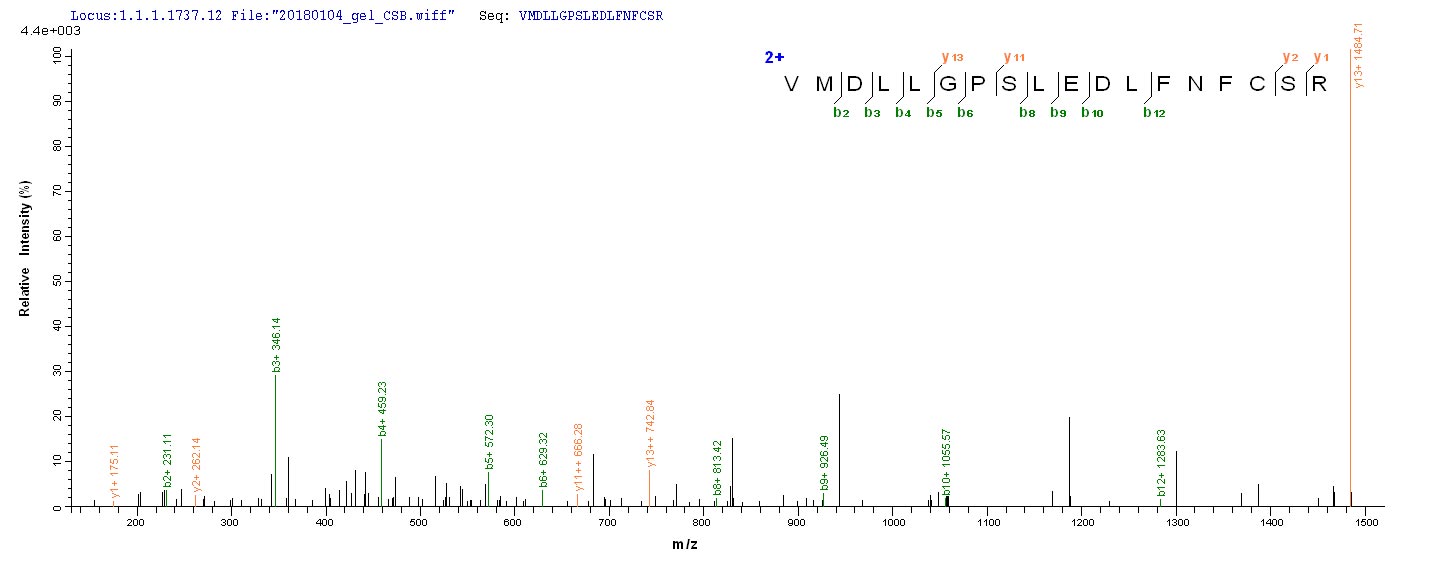 LC-MS Analysis 2- Recombinant protein Human CSNK1A1