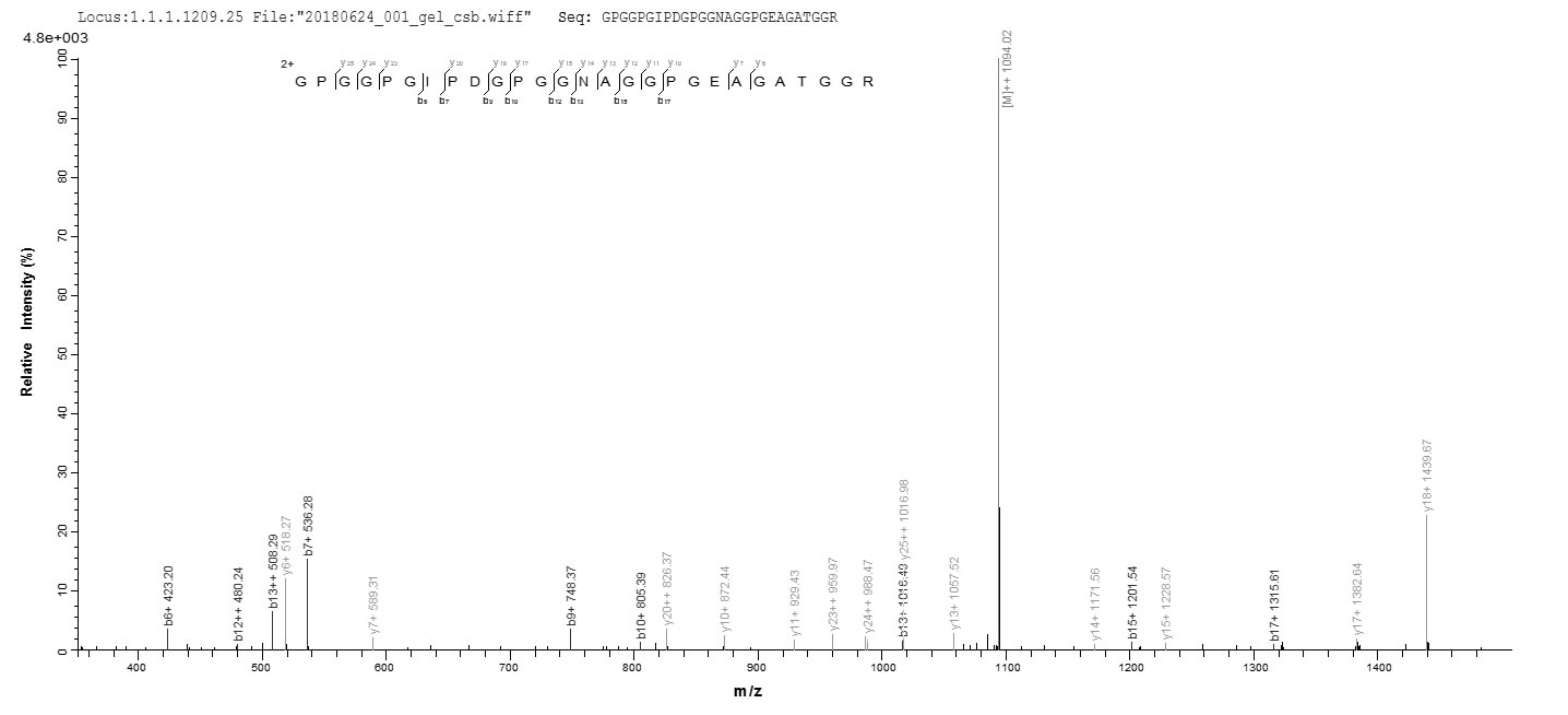 CSB-EP006125HU LCMS-1