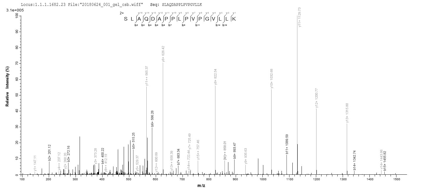 CSB-EP006125HU LCMS-2