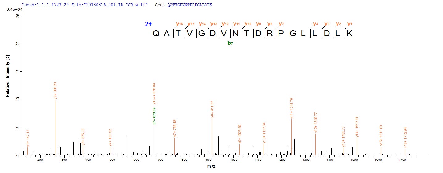 Based on the SEQUEST from database of E.coli host and target protein, the LC-MS/MS Analysis result of CSB-EP006519MO could indicate that this peptide derived from E.coli-expressed Mus musculus (Mouse) Dbi.