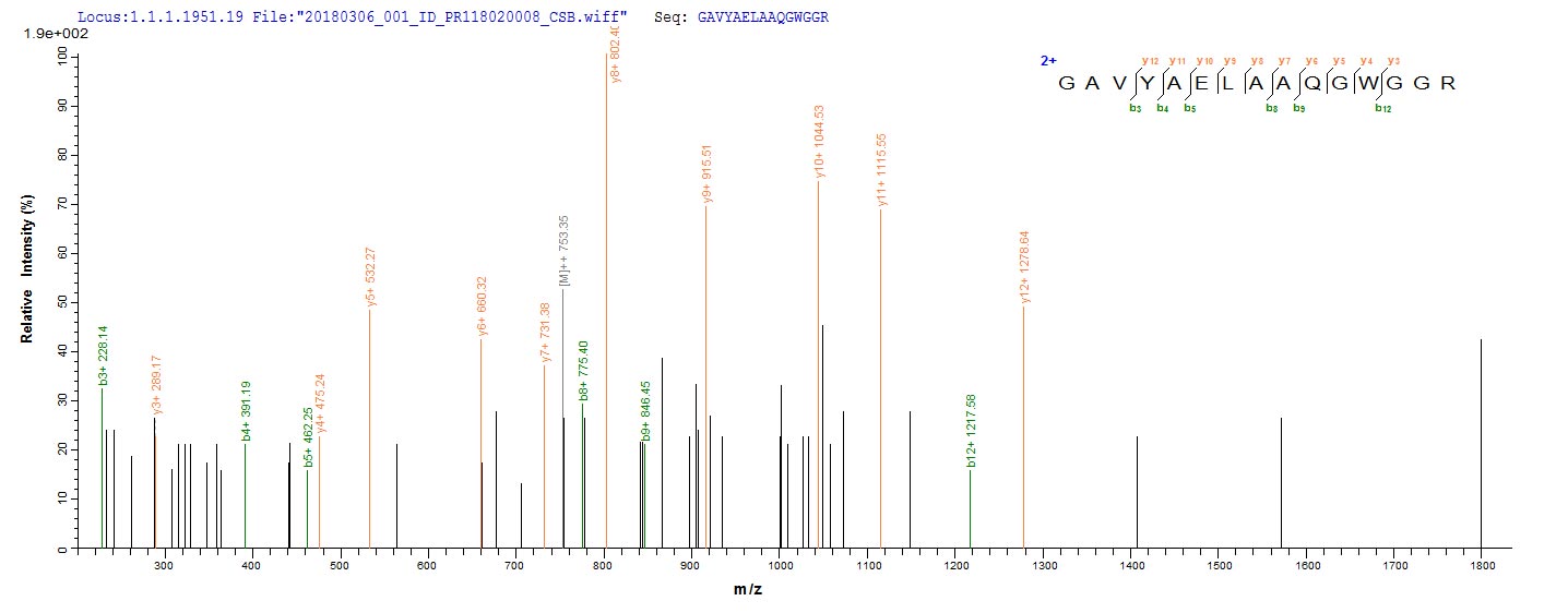 LC-MS Analysis 2- Recombinant protein Mycobacterium tmk