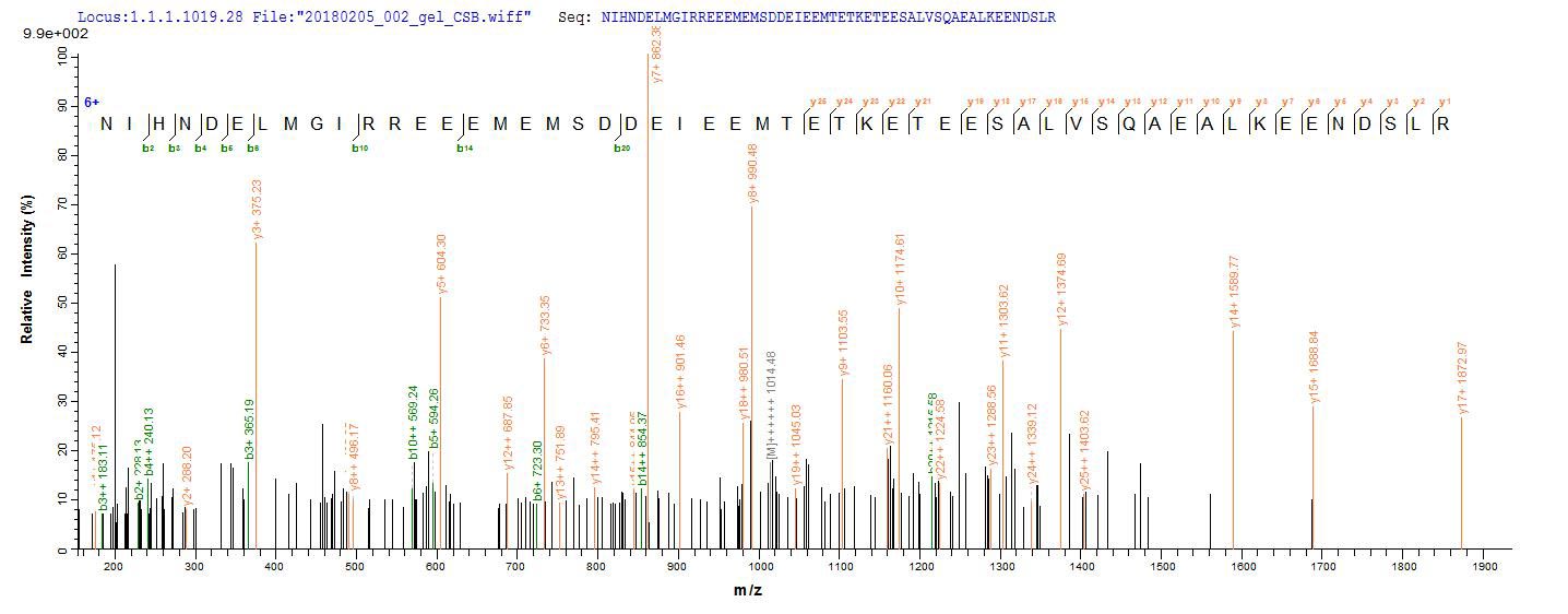 LC-MS Analysis 1- Recombinant protein Human ENOX2
