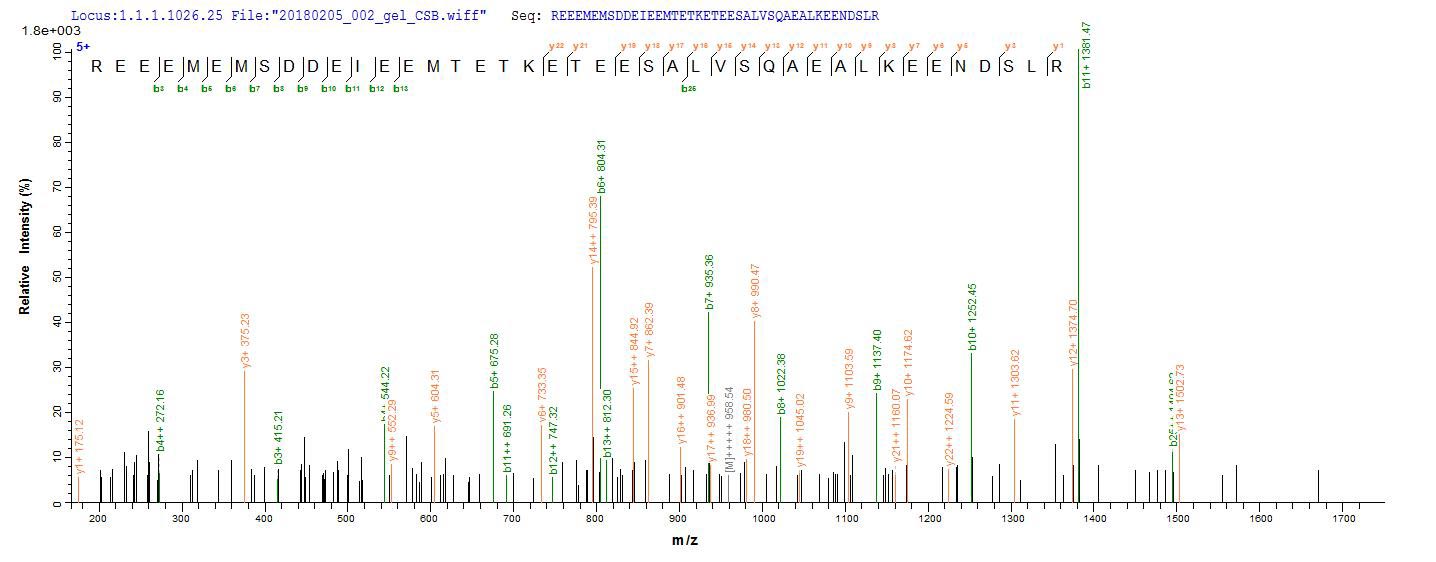 LC-MS Analysis 2- Recombinant protein Human ENOX2