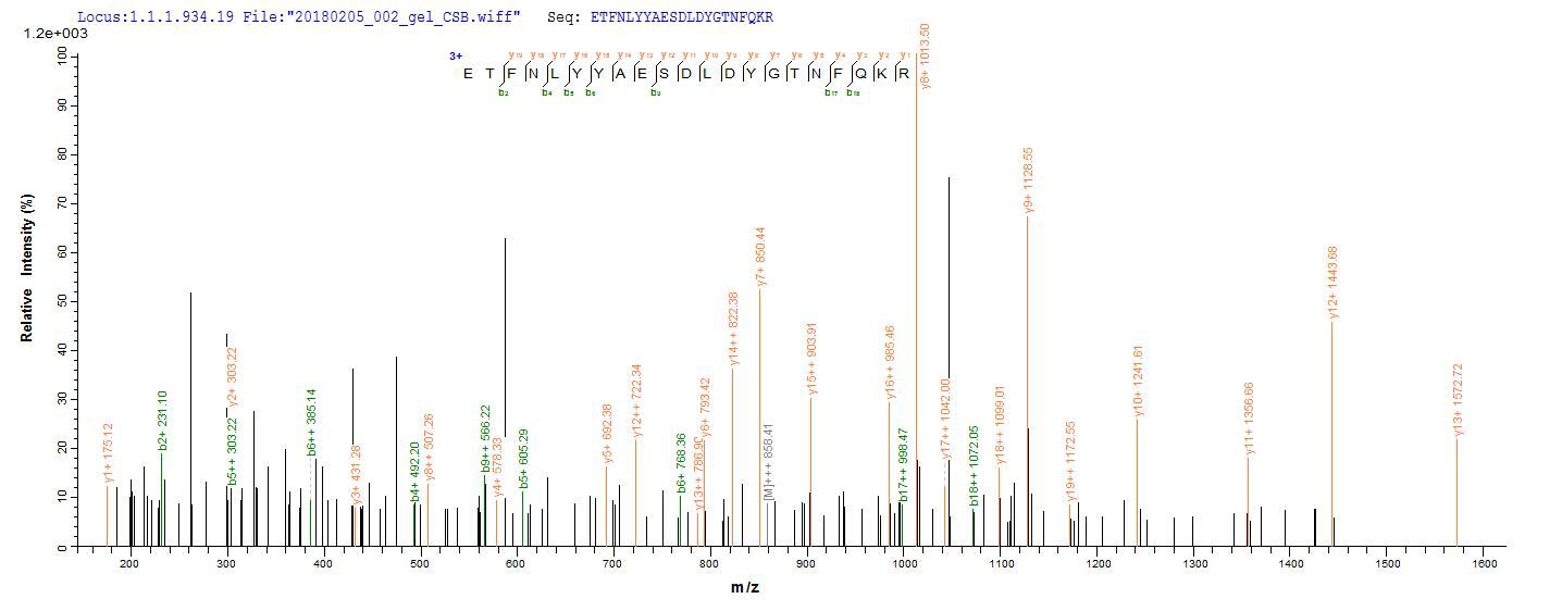 LC-MS Analysis 1- Recombinant protein Human EPHA2