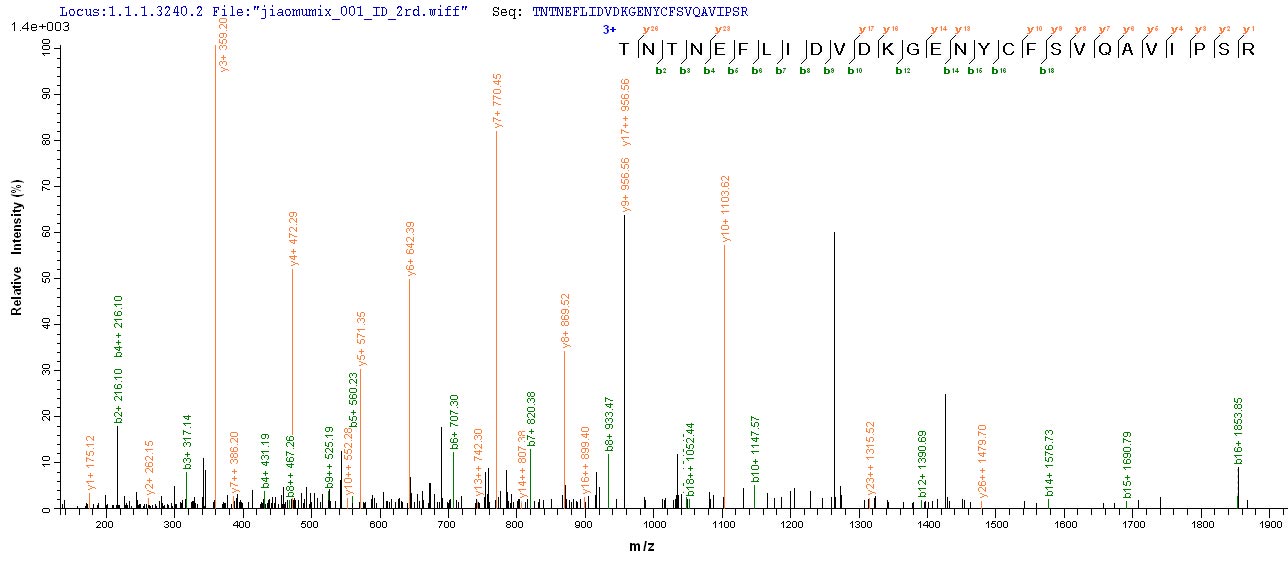 CSB-EP007928HU1 LCMS-1