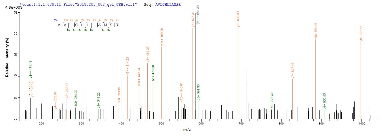 LC-MS Analysis 2- Recombinant protein Human FANCC