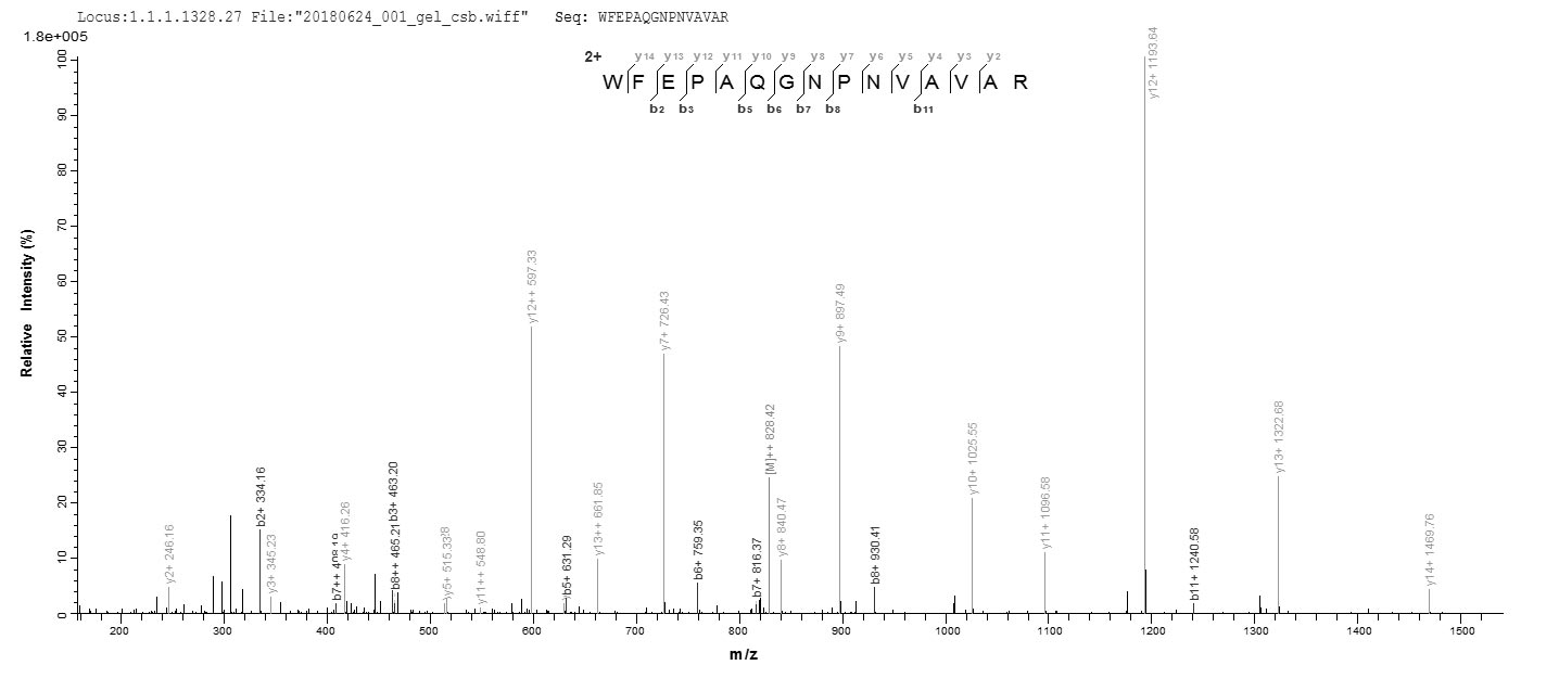 LC-MS Analysis 2- Recombinant protein Human IZUMO1R