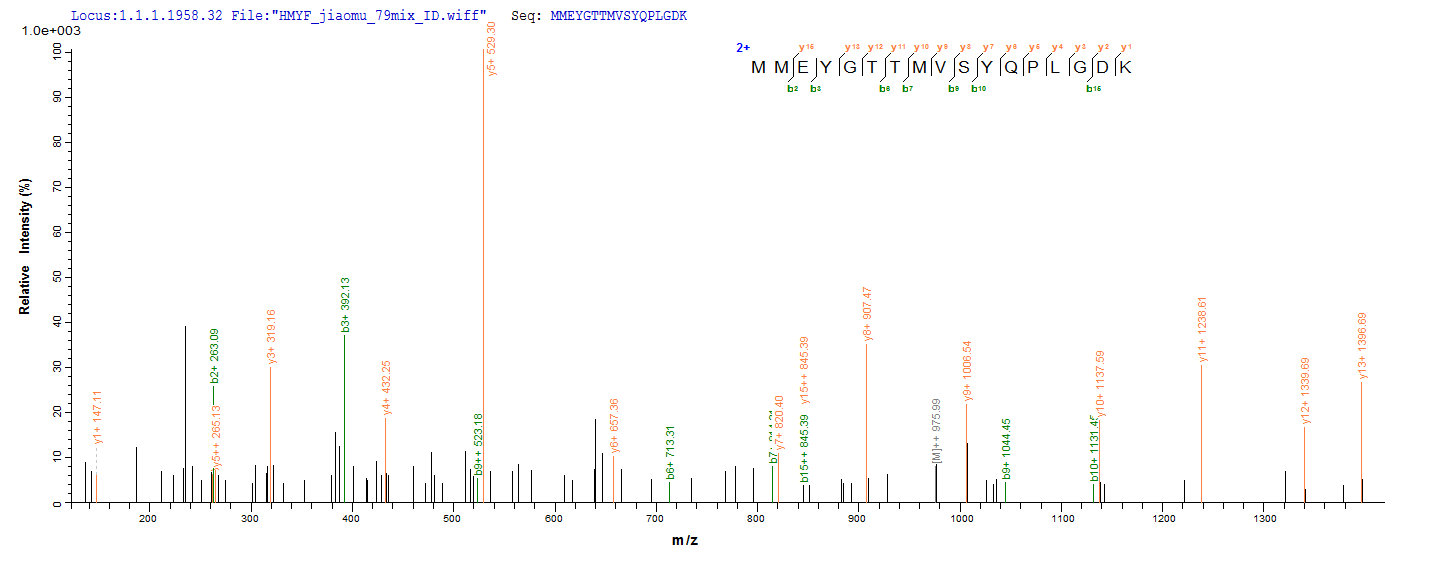 LC-MS Analysis 1- Recombinant protein Mouse Gad2