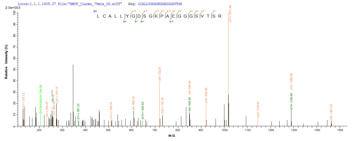 LC-MS Analysis 2- Recombinant protein Mouse Gad2