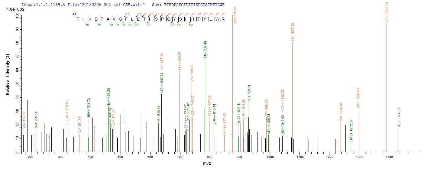 CSB-EP009289HU LCMS-1