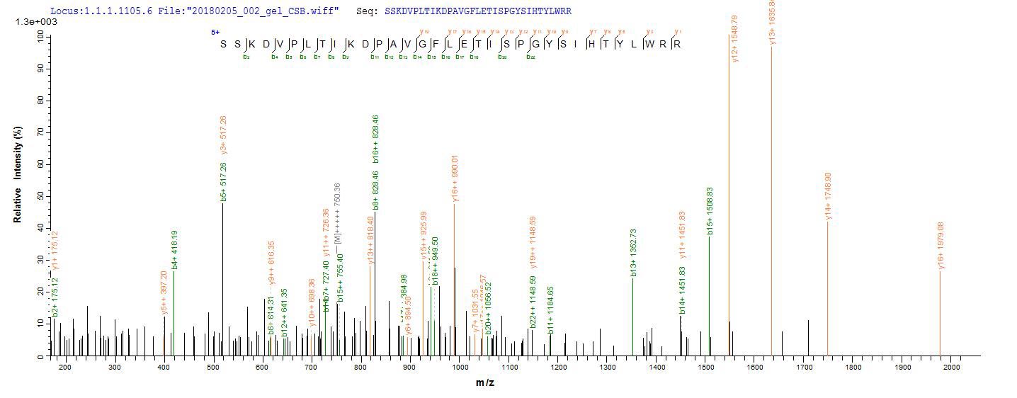 LC-MS Analysis 2- Recombinant protein Human GBA