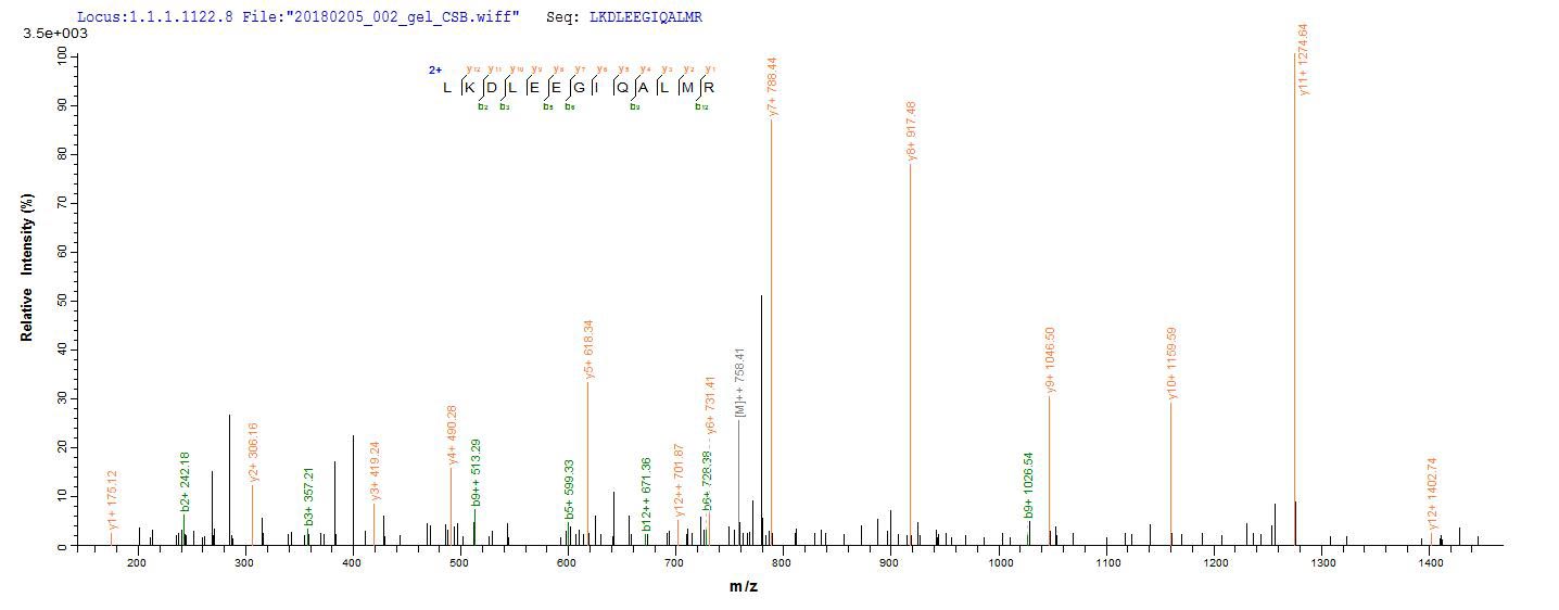 LC-MS Analysis 1- Recombinant protein Pig GH1