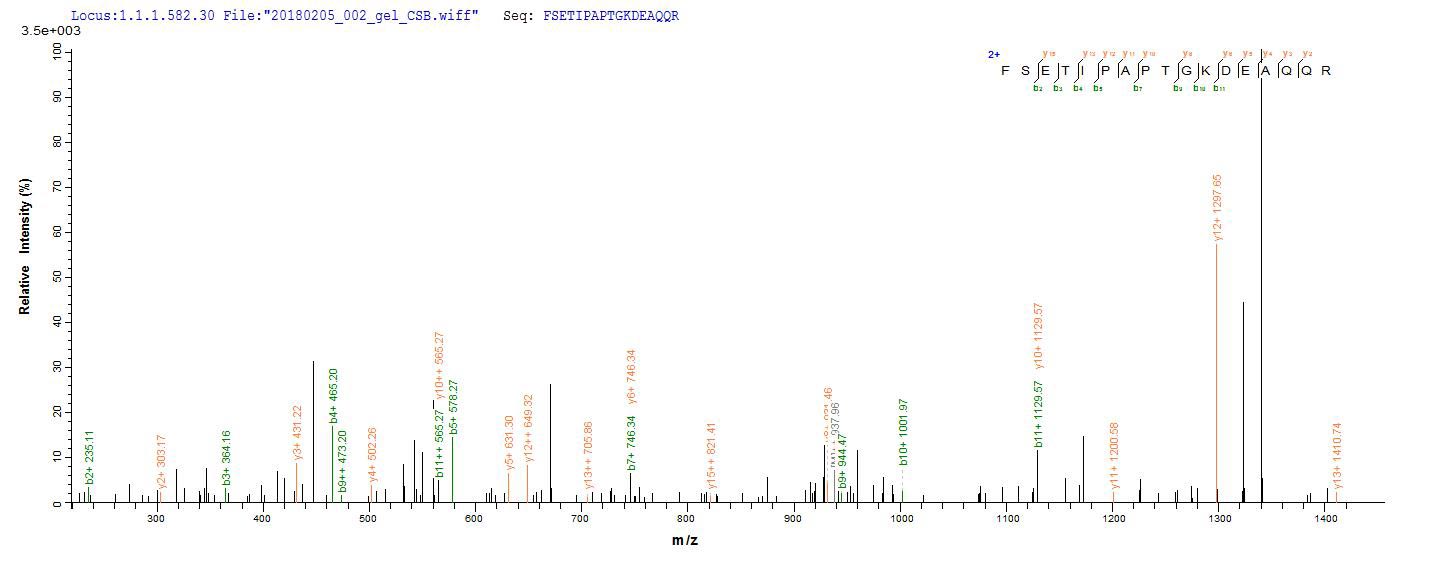 LC-MS Analysis 2- Recombinant protein Pig GH1