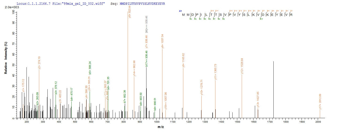 LC-MS Analysis 1- Recombinant protein Human GHR