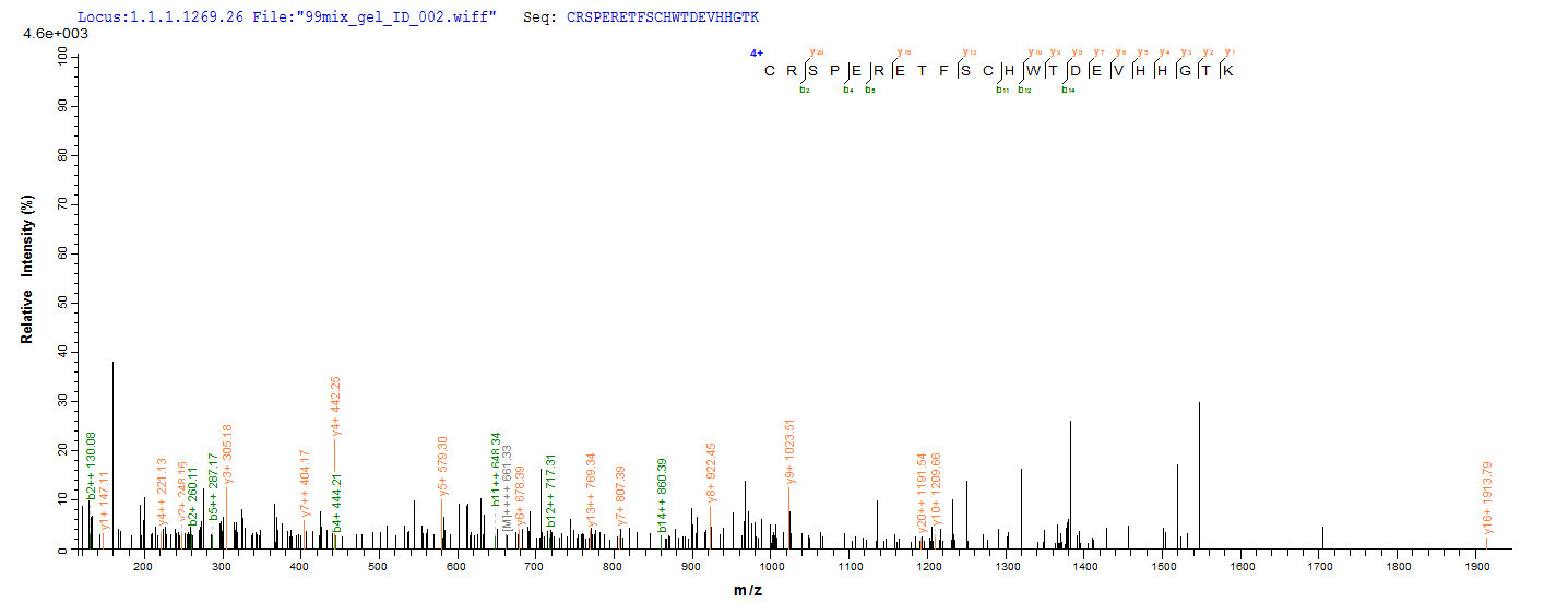 LC-MS Analysis 2- Recombinant protein Human GHR