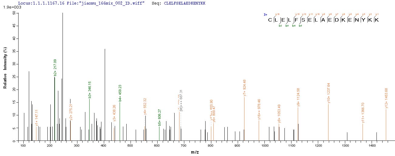 LC-MS Analysis 2- Recombinant protein Human HSP90AB1