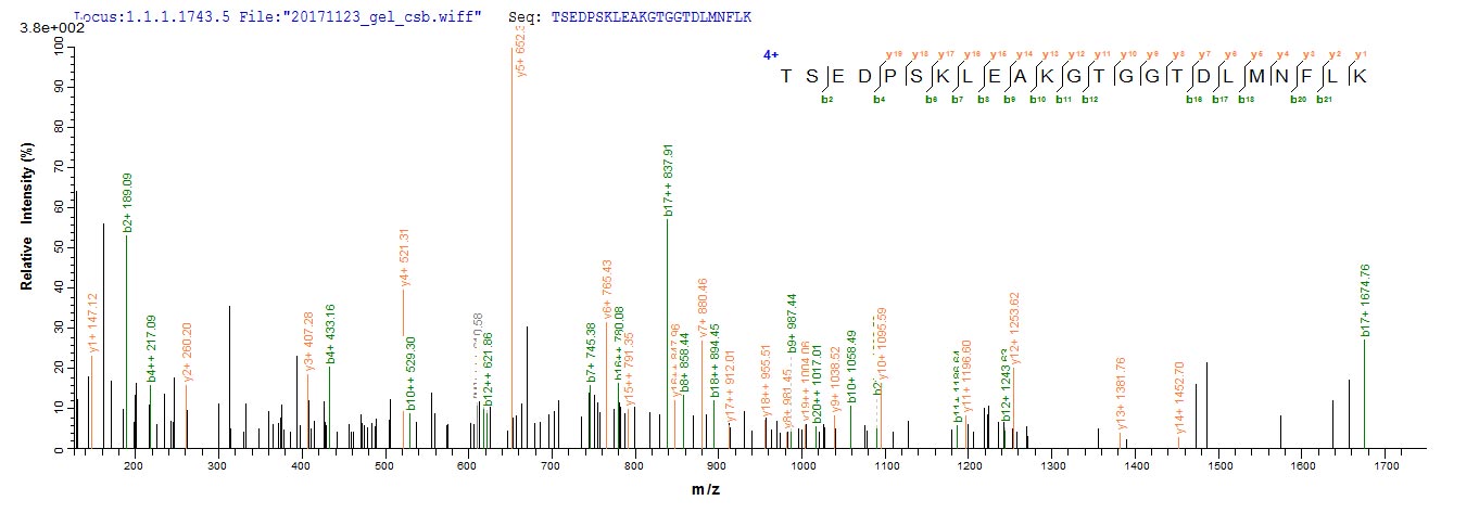 LC-MS Analysis 1- Recombinant protein Human IDO1