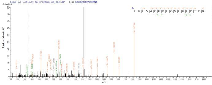 LC-MS Analysis 1- Recombinant protein Mouse Il2rb