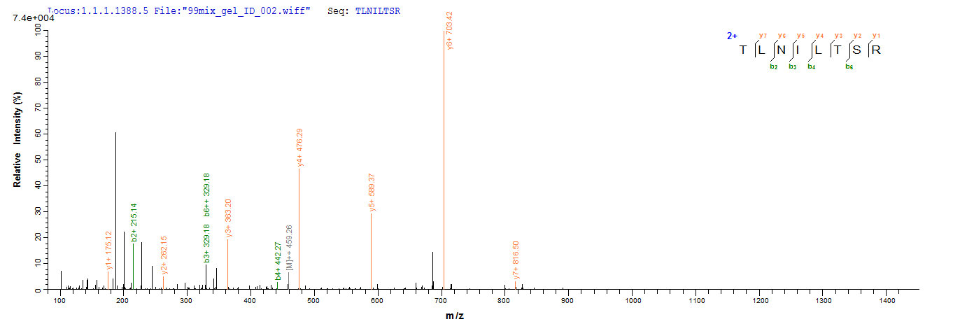 LC-MS Analysis 1- Recombinant protein Sheep IL4