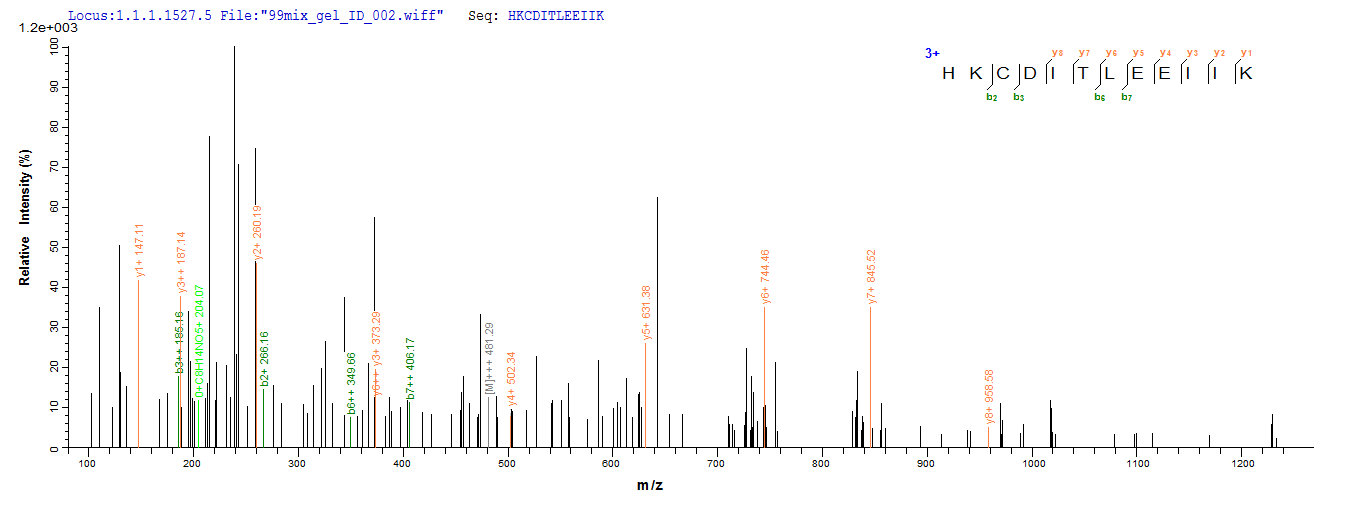 LC-MS Analysis 2- Recombinant protein Sheep IL4