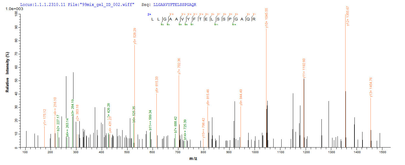 LC-MS Analysis 2- Recombinant protein Human LAG3