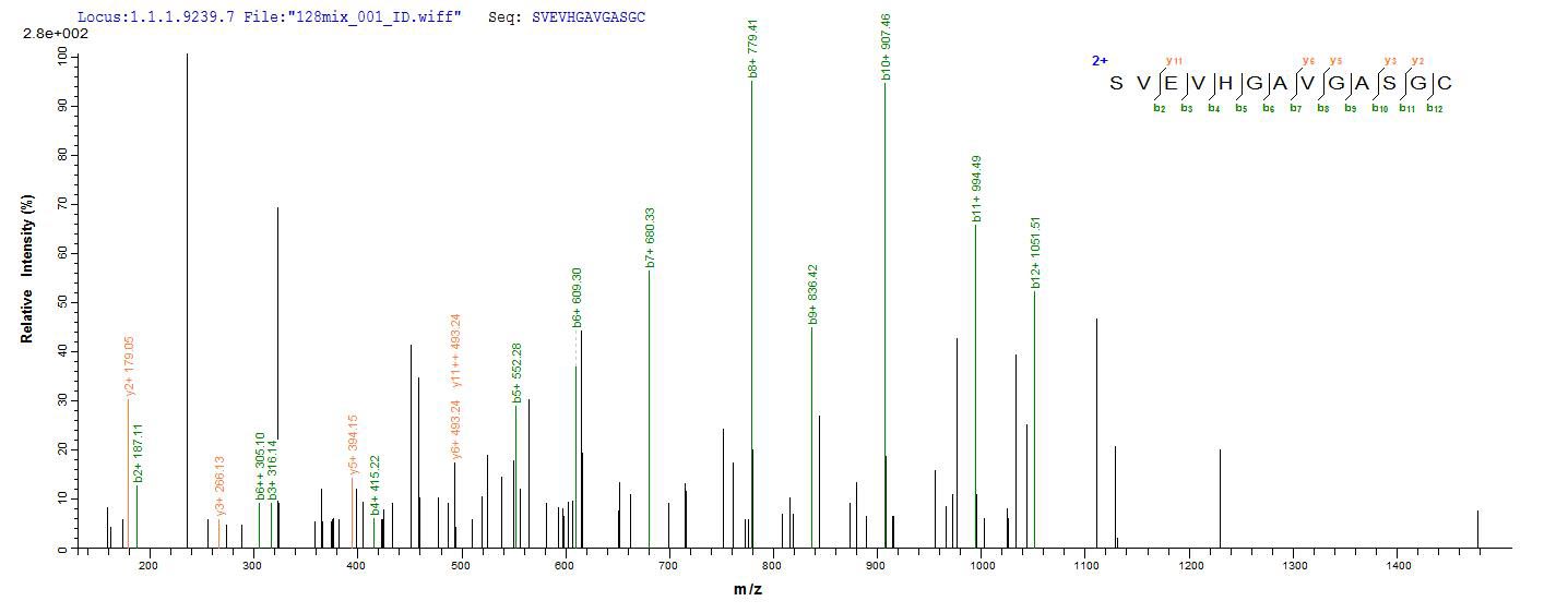 LC-MS Analysis 1- Recombinant protein Human LAMA5