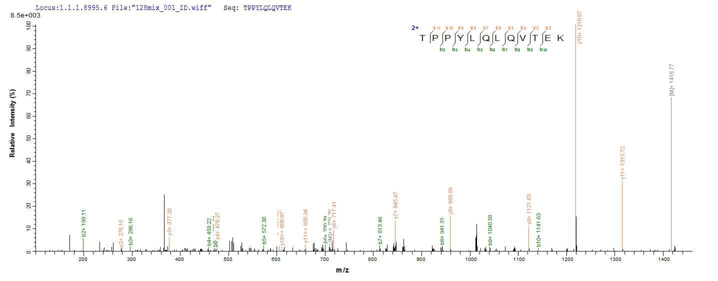 LC-MS Analysis 2- Recombinant protein Human LAMA5
