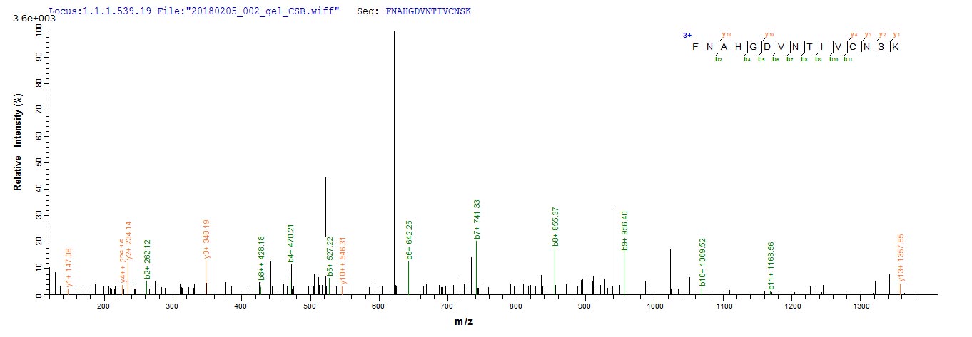 LC-MS Analysis 1- Recombinant protein Bovine LGALS1