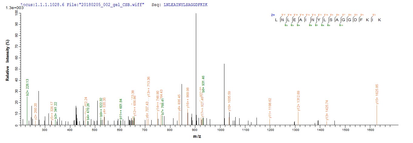 LC-MS Analysis 2- Recombinant protein Bovine LGALS1